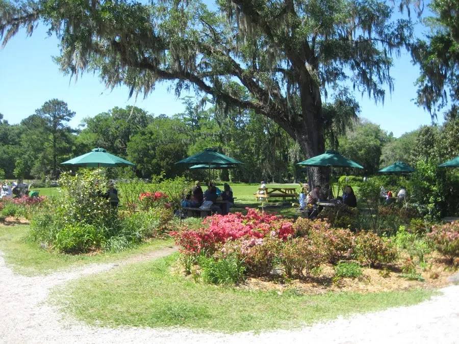 The gardens at Magnolia Plantation are breathtaking (Blast staff photo/Erica Marcus) The gardens at Magnolia Plantation are breathtaking (Blast staff photo/Erica Marcus)